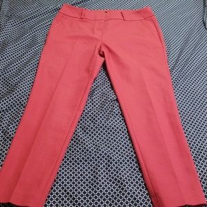 Loft raspberry crop pants